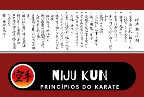 Niju kun – Princípios Fundamentais do Karate