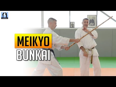 Bunkai Meikyo #karate