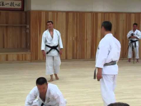 Kagawa-sensei demonstrating the jump - sankaku tobi - from Kata Meikyo