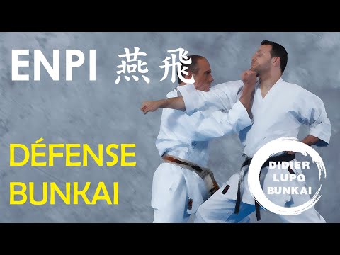 ENPI Défense et Bunkaï par Didier Lupo