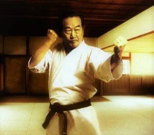 shotokan karate kata nakayama