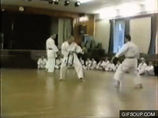 karate projecao ippon