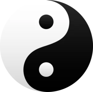 yin yang equilibrio karate